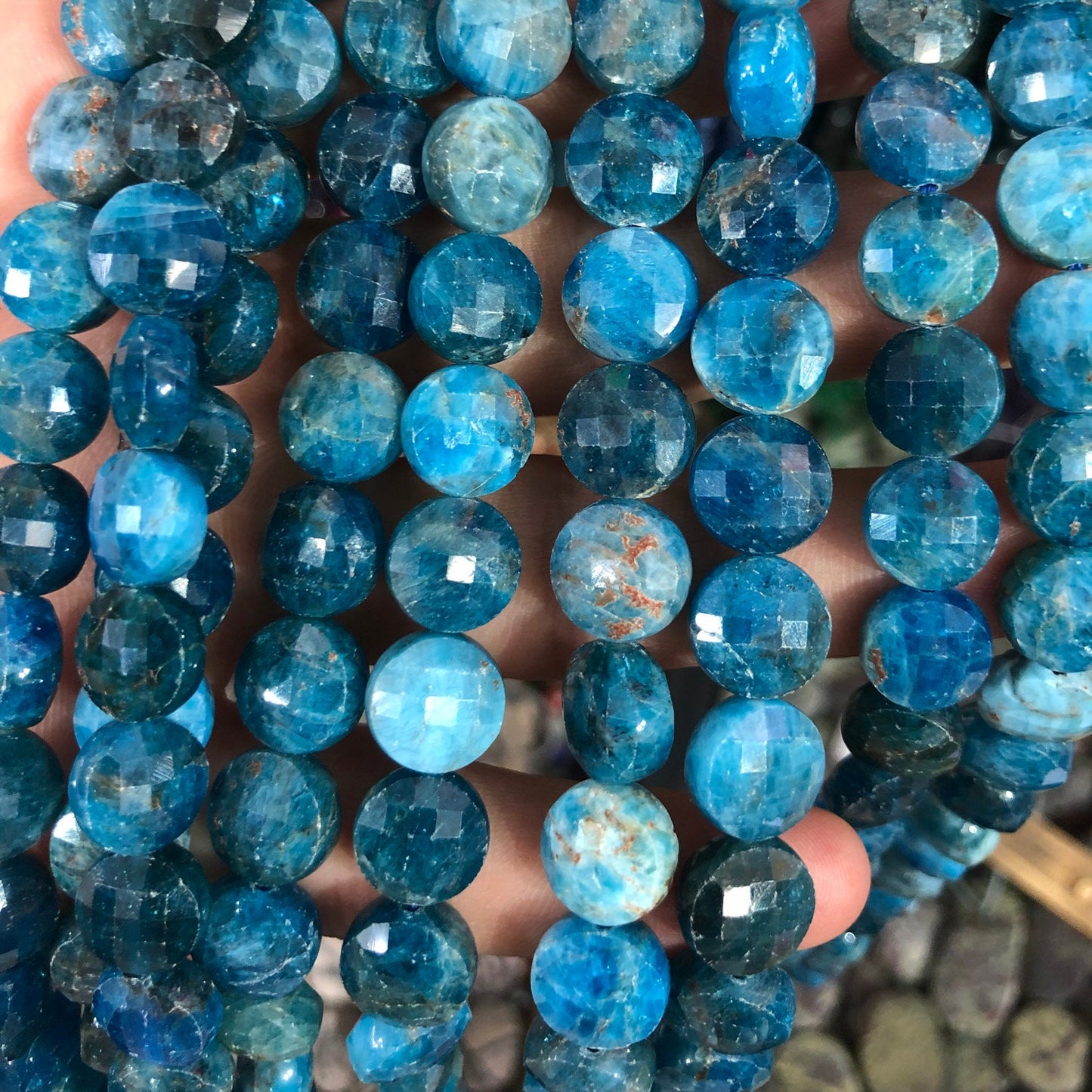 Apatit mønt facetterede perler 8mm 10mm 15''