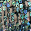 Abalone Shell Beads Flat Oval Beads 12mm 14mm 16mm 18mm 15''
