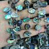 Perles plates en forme de larme en coquillage d'ormeau 10 x 14 mm, 13 x 18 mm, 38 cm