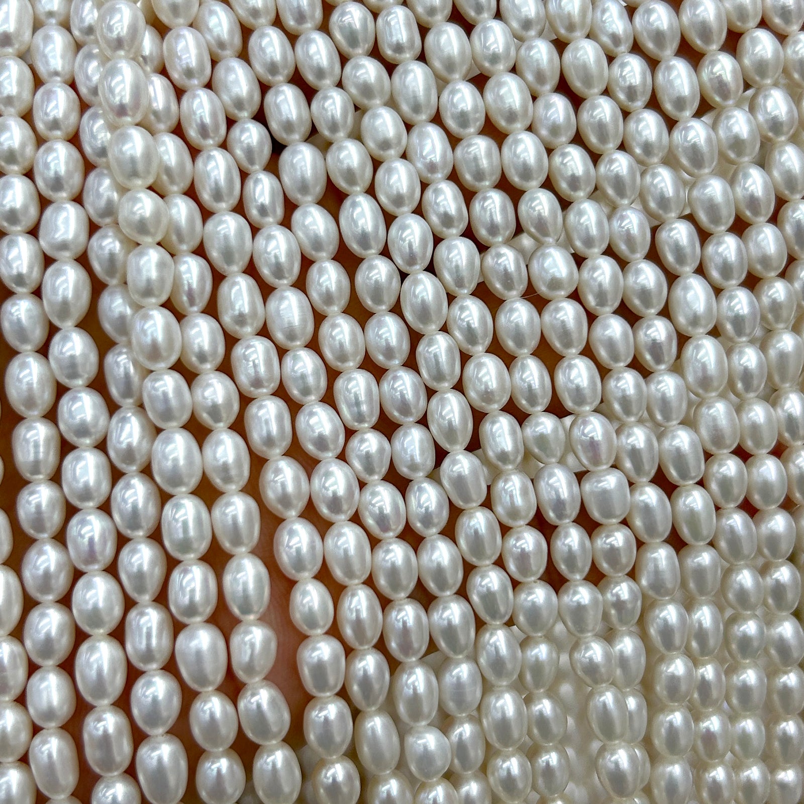 Perles de coquillage bleu 6 mm 8 mm 10 mm 12 mm 14 mm 15''