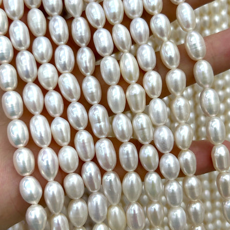 Perles de coquillage bleu 6 mm 8 mm 10 mm 12 mm 14 mm 15''