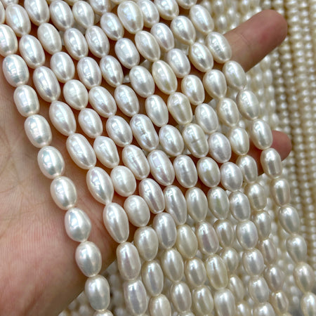 Perles de coquillage bleu 6 mm 8 mm 10 mm 12 mm 14 mm 15''