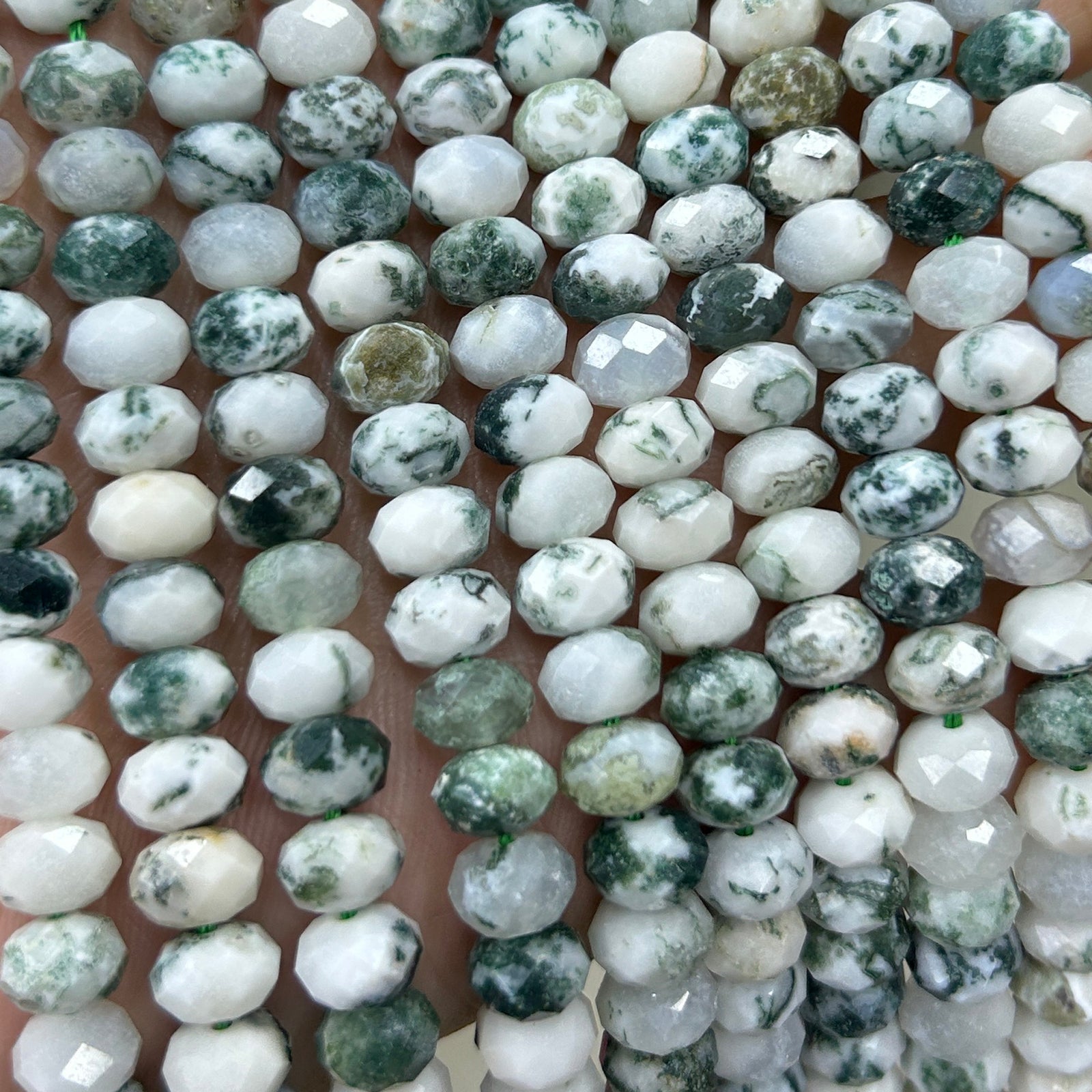 Tree Agate Rondelle Faceted Beads 5x8mm 15''