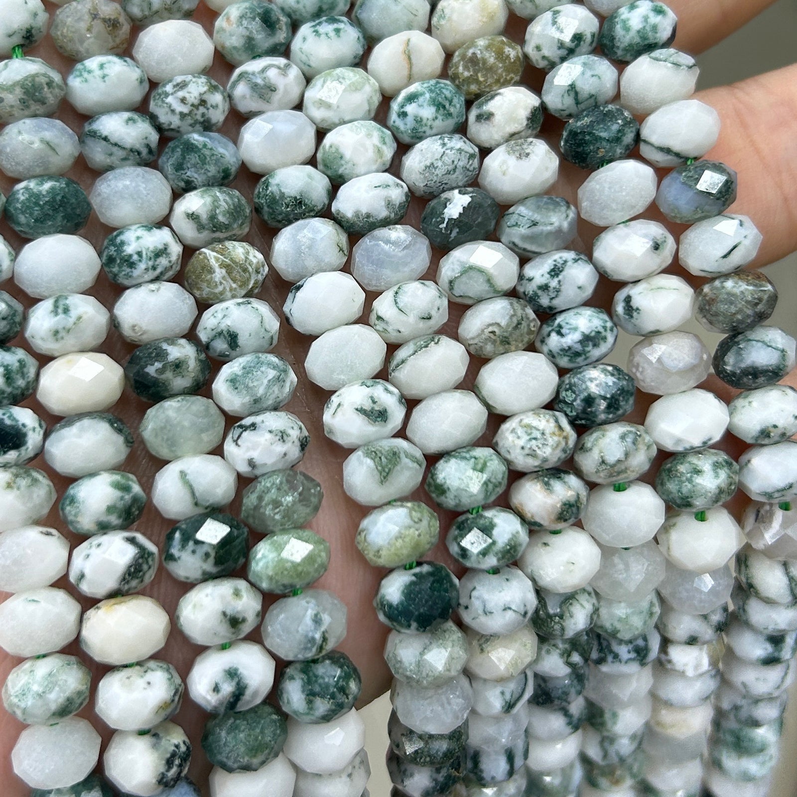 Tree Agate Rondelle Faceted Beads 5x8mm 15''
