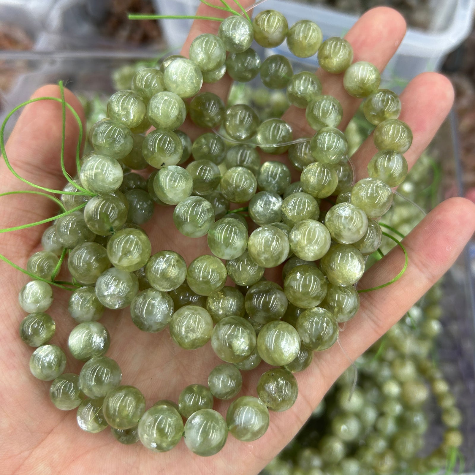 AA Green Lepidolite Bracelet 8mm 10mm 7.5''
